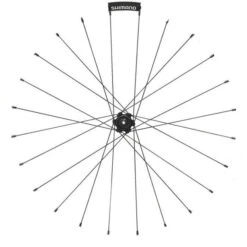 Ecrou Shimano Y012Z4070 - [X1]